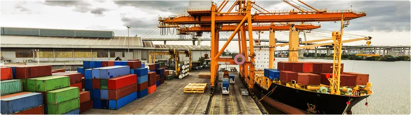 Sản phẩm 2w9g981sokbyzlm — Công Ty TNHH Thương Mại - Dịch Vụ Vận Tải - Giao Nhận Thiên Kim — MST 0303585911