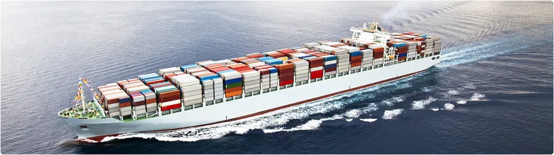 Sản phẩm 2zh3wmeopz752od — Công Ty TNHH Thương Mại - Dịch Vụ Vận Tải - Giao Nhận Thiên Kim — MST 0303585911