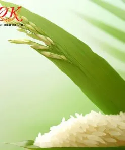 Sản phẩm gao chanh kieu gao lai sua 247x296 — Gạo Chánh Kiều - Công Ty TNHH Thương Mại Dịch Vụ Chánh Kiều — MST 0303595564
