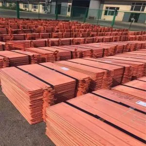 Sản phẩm 4d 300x300 — Công Ty TNHH Thương Mại Đức Biên — MST 0303754616