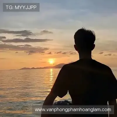 Sản phẩm wen qin zhen team — Công Ty TNHH Sản Xuất Thương Mại Dịch Vụ Hoàng Lâm — MST 0303758875