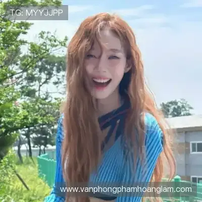 Sản phẩm yi qin mei team — Công Ty TNHH Sản Xuất Thương Mại Dịch Vụ Hoàng Lâm — MST 0303758875