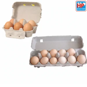 Sản phẩm hop giay dung trung ga 6 300x300 — Công Ty TNHH Sản Xuất - Thương Mại Bao Bì Hợp Phát — MST 0303782003