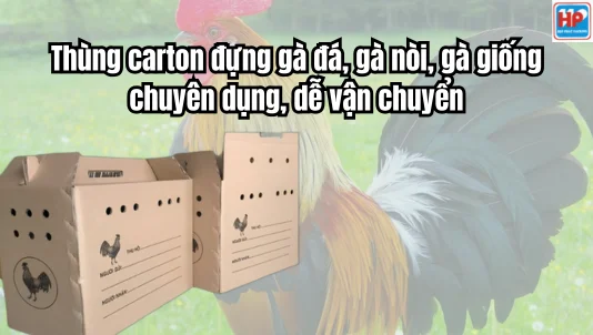 Sản phẩm thung carton dung ga — Công Ty TNHH Sản Xuất - Thương Mại Bao Bì Hợp Phát — MST 0303782003
