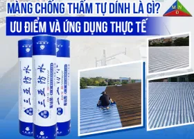 Sản phẩm mang chong tham tu dinh la gi 1778497629.jpg — Chống Thấm Miền Nhiệt Đới - Công Ty TNHH Miền Nhiệt Đới — MST 0303785244