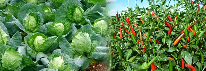 Sản phẩm 0023261173889430_1366x473 — Công Ty TNHH Thương Mại Và Dịch Vụ Nam Viễn Thông — MST 0303866408