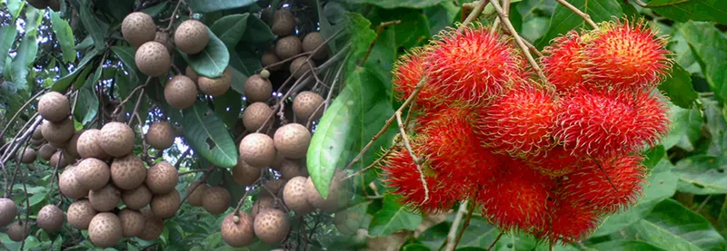 Sản phẩm 564326213750859_1366x473 — Công Ty TNHH Thương Mại Và Dịch Vụ Nam Viễn Thông — MST 0303866408