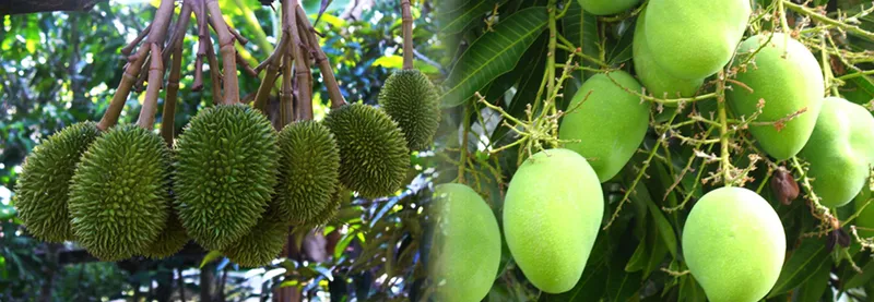 Sản phẩm 7256613163044130_1366x473 — Công Ty TNHH Thương Mại Và Dịch Vụ Nam Viễn Thông — MST 0303866408