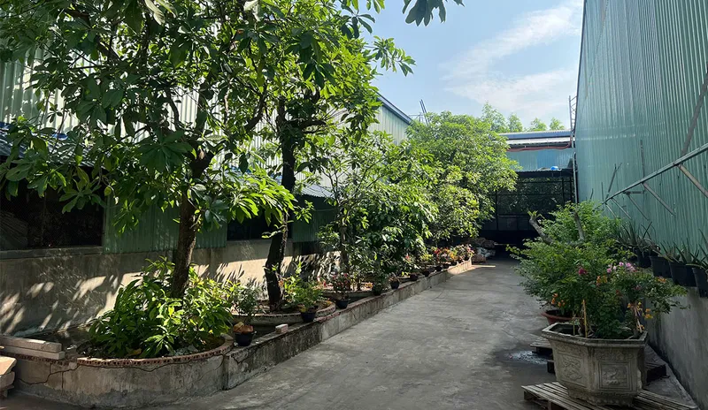 Sản phẩm pic slide luoithepachau 3 01 — Công Ty Cổ Phần Lưới Thép á Châu — MST 0303891482
