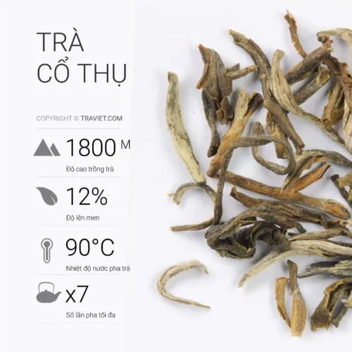 Sản phẩm tra co thu 500x500 — Trà Việt - Công Ty Cổ Phần Sản Xuất Thương Mại Dịch Vụ Trà Việt — MST 0303896219