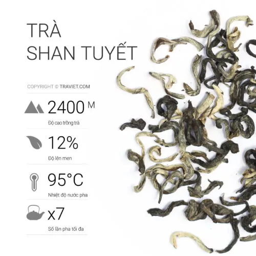 Sản phẩm tra shan tuyet 500x500 — Trà Việt - Công Ty Cổ Phần Sản Xuất Thương Mại Dịch Vụ Trà Việt — MST 0303896219