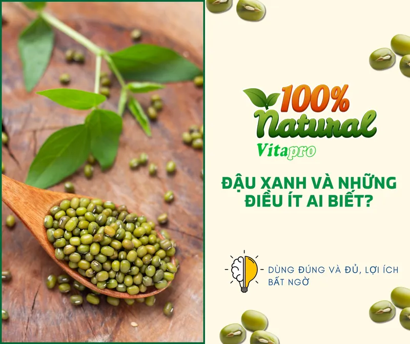 Sản phẩm chu c na ng xanh — Công Ty TNHH Một Thành Viên Bột Dinh Dưỡng Thăng Long — MST 0303900715