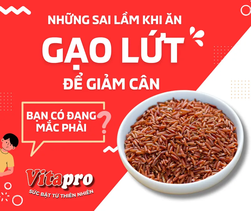 Sản phẩm ga o lu t amp sai la m — Công Ty TNHH Một Thành Viên Bột Dinh Dưỡng Thăng Long — MST 0303900715