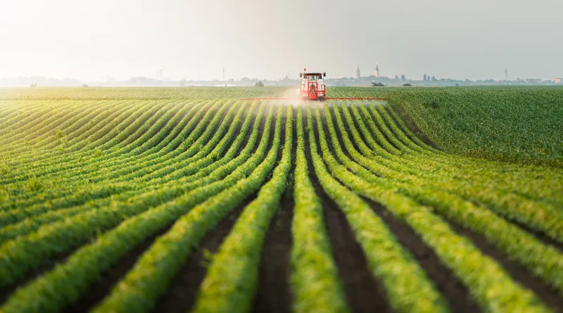 Sản phẩm agriculture — Công Ty TNHH Thương Mại Thy Long — MST 0303939021