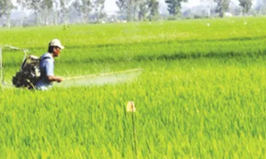 Sản phẩm 5 15254902467 — Công Ty Cổ Phần Vật Tư Tổng Hợp Và Phân Bón Hóa Sinh — MST 0303951558