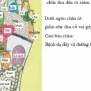 Sản phẩm massage chan phuong phap truyen thong chua benh hieu qua 21222_585x390 — Công Ty TNHH Một Thành Viên Đại Gia Đình — MST 0303966346