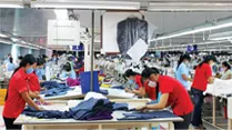 Sản phẩm hoatdong1 — Công Ty TNHH Sản Xuất - Thương Mại - Dịch Vụ An Dung — MST 0303991180