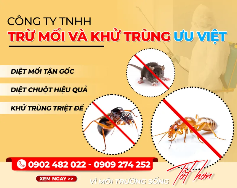 Sản phẩm anhgioithieua (1) — Công Ty TNHH Trừ Mối Và Khử Trùng Ưu Việt — MST 0304044400