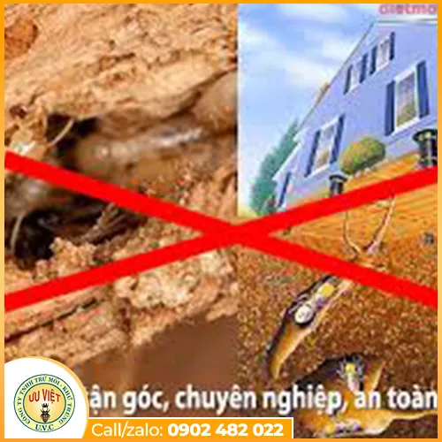 Sản phẩm diet con trung (3) — Công Ty TNHH Trừ Mối Và Khử Trùng Ưu Việt — MST 0304044400