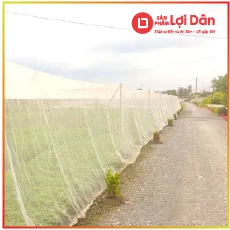 Sản phẩm sp lld nha luoi — Vật Tư Nông Nghiệp Lợi Lợi Dân - Công Ty TNHH Lợi Lợi Dân — MST 0304058918
