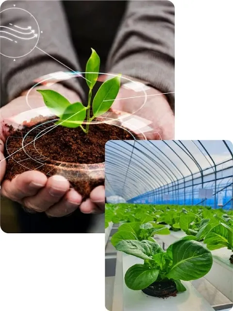 Sản phẩm about us loiloidan — Vật Tư Nông Nghiệp Lợi Lợi Dân - Công Ty TNHH Lợi Lợi Dân — MST 0304058918