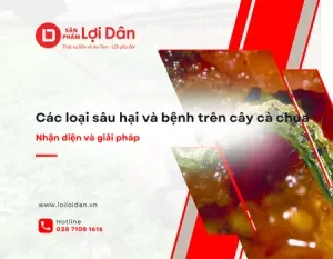 Sản phẩm Ky thuat 6 300x233 — Vật Tư Nông Nghiệp Lợi Lợi Dân - Công Ty TNHH Lợi Lợi Dân — MST 0304058918