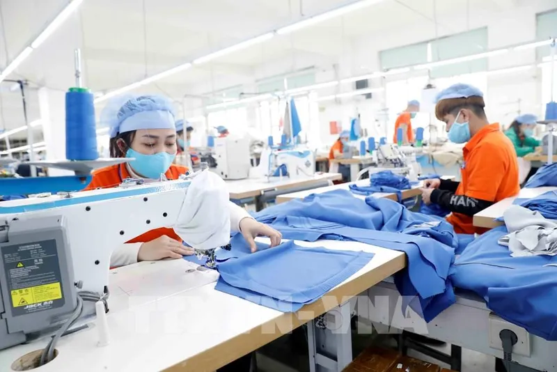Sản phẩm 141739 det may viet nam phan dau xuat khau dat 39 ty usd nam 2021 — Sợi Việt Đức - Công Ty TNHH Sản Xuất Thương Mại Sợi Việt Đức — MST 0304082389