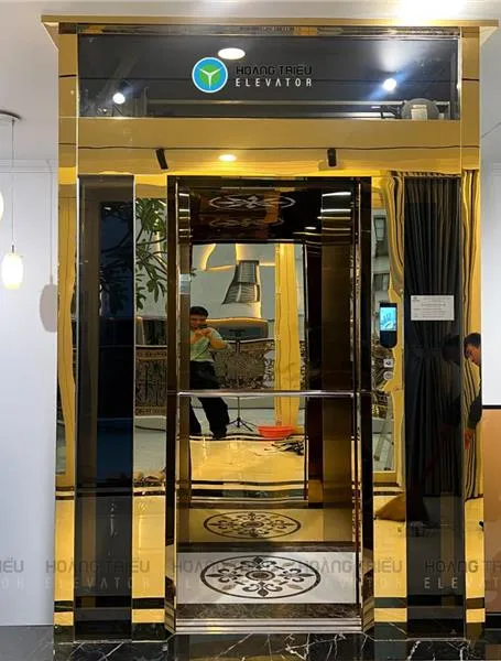 Sản phẩm thang may nanolift 300kg lap dat tai q7 455 600 90891913 — Hoàng Triều - Công Ty Cổ Phần Thang Máy Hoàng Triều — MST 0304100197