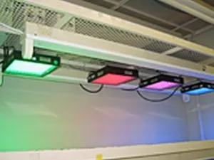 Sản phẩm Agri Bio Lighting CCS  300x225 — Công Ty TNHH Thương Mại Thanh Thành — MST 0304100253