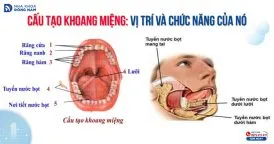 Sản phẩm cac buoc day be danh rang dung cach 274x144 — Nha Khoa Đông Nam — MST 0304132304