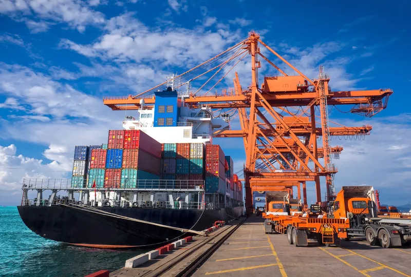 Sản phẩm Sea 1 — Công Ty TNHH Tiếp Vận Tường Long — MST 0304204950