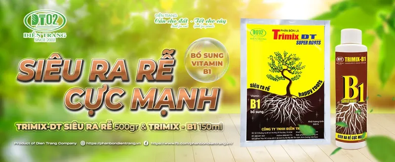 Sản phẩm 0168093352113430 — Công Ty TNHH Điền Trang — MST 0304213842