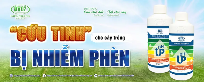 Sản phẩm 0527953274341510 — Công Ty TNHH Điền Trang — MST 0304213842