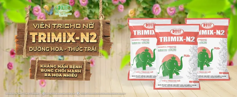 Sản phẩm 061539759207176 — Công Ty TNHH Điền Trang — MST 0304213842