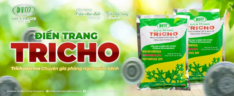 Sản phẩm 116095423004609 — Công Ty TNHH Điền Trang — MST 0304213842