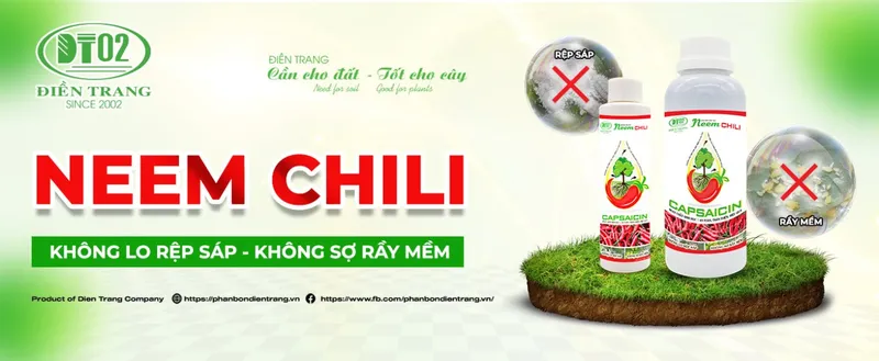 Sản phẩm 2737852224226680 — Công Ty TNHH Điền Trang — MST 0304213842