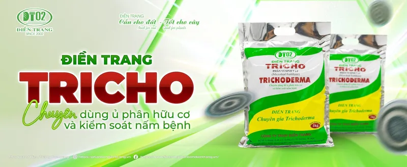 Sản phẩm 399469801808555 — Công Ty TNHH Điền Trang — MST 0304213842