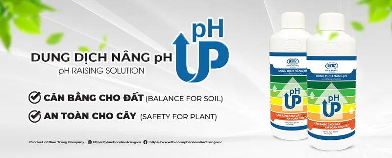 Sản phẩm 487093895676281 — Công Ty TNHH Điền Trang — MST 0304213842