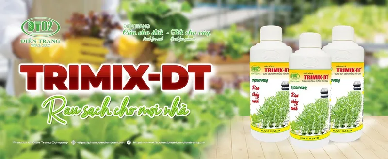 Sản phẩm 6228627401216810 — Công Ty TNHH Điền Trang — MST 0304213842