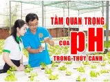 Sản phẩm 181440578598_160x118.51851851852 — Công Ty TNHH Điền Trang — MST 0304213842