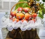 Sản phẩm 4623148691225249812089067932078037315123566n 6130 — Màng Co Thuận Hưng Phát - Công Ty TNHH Thương Mại & Sản Xuất Thuận Hưng Phát — MST 0304218544