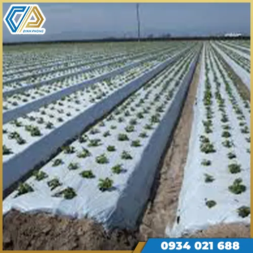 Sản phẩm mang phu dung trong nong nghiep — Bao Bì Nhựa Đỉnh Phong - Cơ Sở Bao Bì Nhựa Đỉnh Phong — MST 0304257085