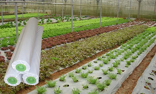 Sản phẩm A4 — Bao Bì Nhựa Đỉnh Phong - Cơ Sở Bao Bì Nhựa Đỉnh Phong — MST 0304257085