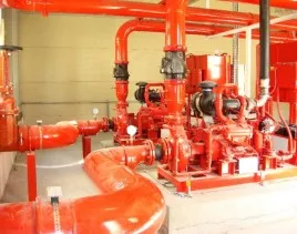 Sản phẩm 0017207 5316 — Công Ty TNHH Thương Mại Dịch Vụ Nguyễn An — MST 0304274884