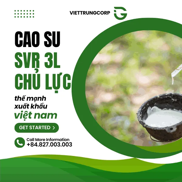 Sản phẩm cao_su_3l_chu_luc — Công Ty TNHH Quốc Tế Việt Trung — MST 0304316083