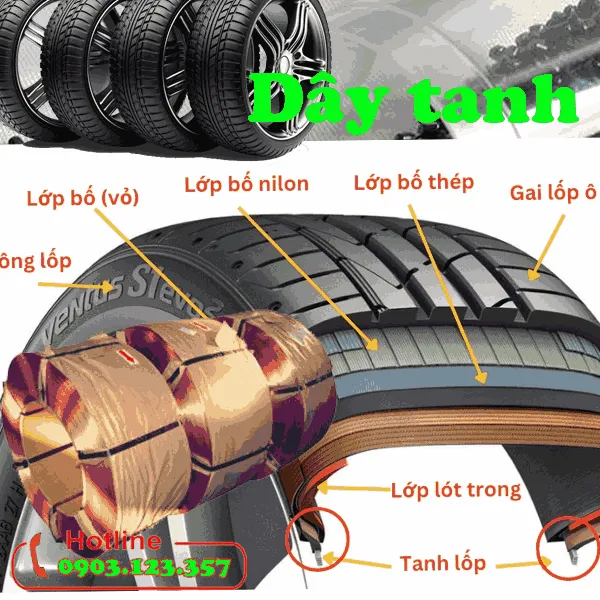 Sản phẩm day_tanh — Công Ty TNHH Quốc Tế Việt Trung — MST 0304316083