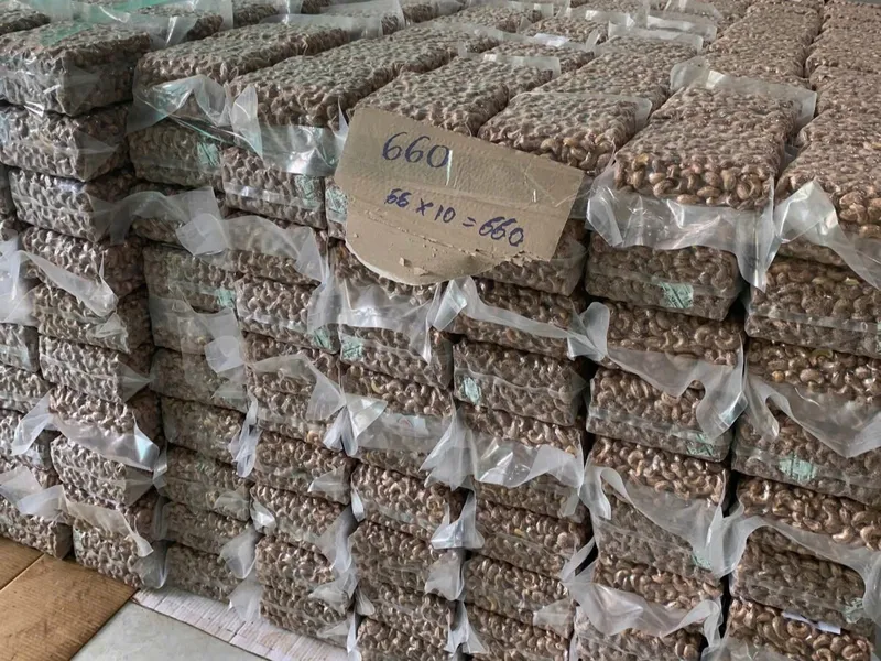 Sản phẩm 6 — Công Ty TNHH Hoàng Kim Việt — MST 0304317383