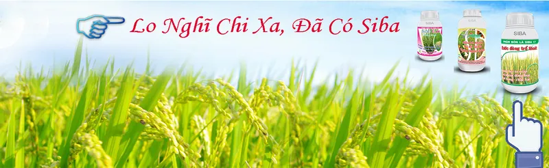 Sản phẩm 067518472978209 — Công Ty TNHH Si Ba — MST 0304325497