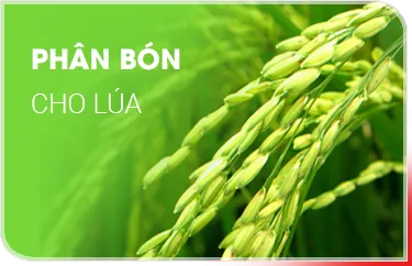 Sản phẩm 1 5258 — Công Ty TNHH Si Ba — MST 0304325497