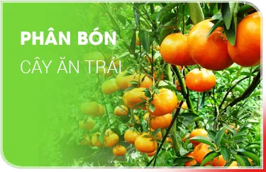 Sản phẩm 3 6593 — Công Ty TNHH Si Ba — MST 0304325497